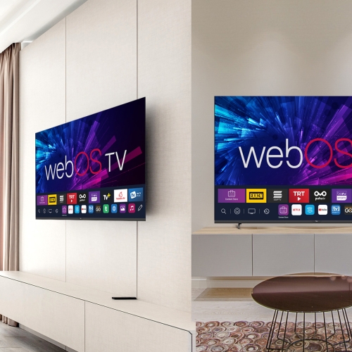 YE-65020FS2-4K webOS 65 İnç Smart Televizyon